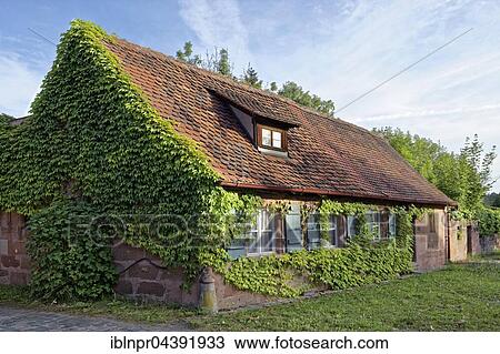 Stock Image - Worker's House covered with vine tendrils, Historic factory Hammer, Laufamholz, Nuremberg, Middle Franconia, Franconia, Bavaria, Germany, Europe. Fotosearch