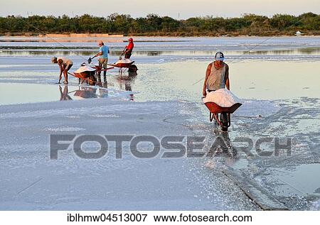 Stock Photo - Workers shoveling salt in wheelbarrow, raw salt production, saline at El Cujo, Yukatan, Mexico, Central America. Fotosearch