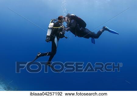 Young couple, divers kissing underwater, Indian Ocean, Maldives, Asia View Large Photo Image Stock Image - Young couple, divers kissing underwater, Indian Ocean, Maldives, Asia. Fotosearch
