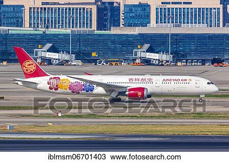 A Boeing 787-9 Dreamliner aircraft operated by Juneyao Air with registration number B-209R at Shanghai Airport, China, Asia View Large Photo Image Stock Image - A Boeing 787-9 Dreamliner aircraft operated by Juneyao Air with registration number B-209R at Shanghai Airport, China, Asia. Fotosearch