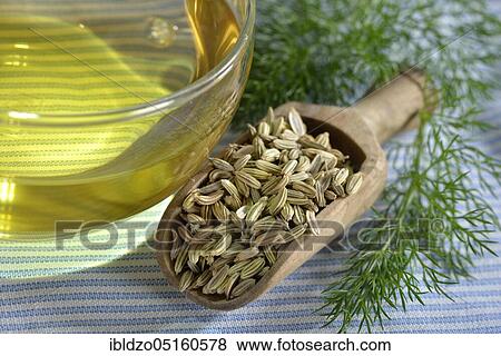 A cup of Fenneltea (Foeniculum vulgare) View Large Photo Image Stock Photo - A cup of Fenneltea (Foeniculum vulgare). Fotosearch