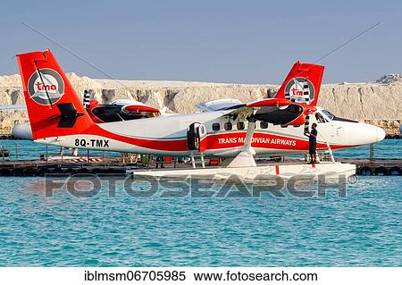 A De Havilland Canada DHC-6-300 Twin Otter of TMA, Trans Maldivian Airways with registration 8Q-TMX at Male Airport, Maldives, Asia View Large Photo Image Stock Photography - A De Havilland Canada DHC-6-300 Twin Otter of TMA, Trans Maldivian Airways with registration 8Q-TMX at Male Airport, Maldives, Asia. Fotosearch