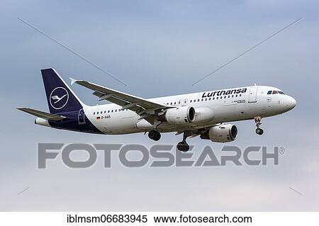 A Lufthansa Airbus A320 with the registration D-AIQS lands at London Heathrow Airport (LHR) in the United Kingdom View Large Photo Image Stock Photography - A Lufthansa Airbus A320 with the registration D-AIQS lands at London Heathrow Airport (LHR) in the United Kingdom. Fotosearch