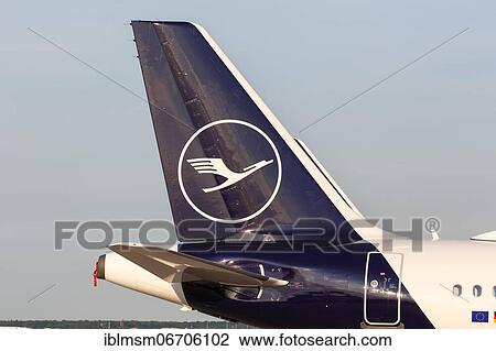 A Lufthansa Airbus tail unit with the crane logo at Frankfurt Airport (FRA) in Frankfurt, Germany, Europe View Large Photo Image Stock Image - A Lufthansa Airbus tail unit with the crane logo at Frankfurt Airport (FRA) in Frankfurt, Germany, Europe. Fotosearch