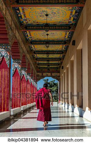 A young monk from Amitabha Monastery, Amitabha monastery, Nepal, Asia View Large Photo Image Picture - A young monk from Amitabha Monastery, Amitabha monastery, Nepal, Asia. Fotosearch