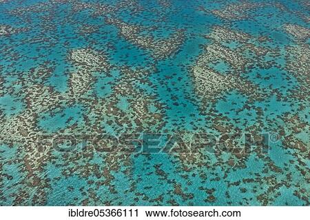 Aerial view Great Barrier Reef, Queensland, Australia, Oceania View Large Photo Image Stock Image - Aerial view Great Barrier Reef, Queensland, Australia, Oceania. Fotosearch