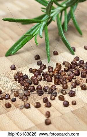 Stock Photograph - Aframomum melegueta (Aframomum melegueta) hot pepper, peppercorn. Fotosearch