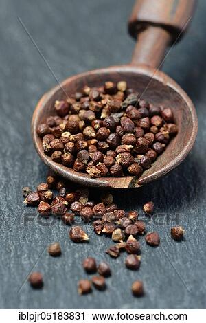 Aframomum melegueta in wooden spoons (Aframomum melegueta) hot pepper, peppercorn View Large Photo Image Stock Image - Aframomum melegueta in wooden spoons (Aframomum melegueta) hot pepper, peppercorn. Fotosearch