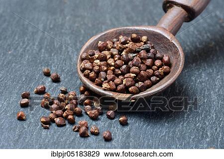 Stock Photo - Aframomum melegueta in wooden spoons (Aframomum melegueta) hot pepper, peppercorn. Fotosearch