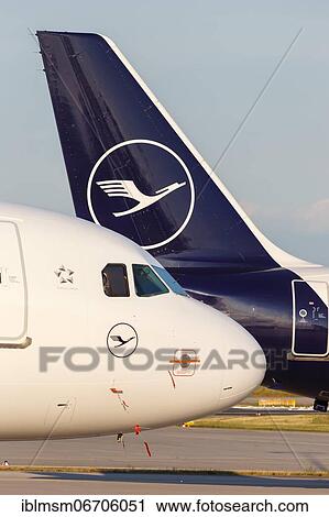 Airbus A319 aircraft of Lufthansa with registration D-AILK at Frankfurt Airport, Germany, Europe View Large Photo Image Stock Image - Airbus A319 aircraft of Lufthansa with registration D-AILK at Frankfurt Airport, Germany, Europe. Fotosearch