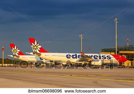 Airbus A330-300 aircraft of Edelweiss at Zurich Airport, Switzerland, Europe View Large Photo Image Stock Photograph - Airbus A330-300 aircraft of Edelweiss at Zurich Airport, Switzerland, Europe. Fotosearch