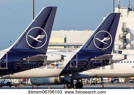 Airbus tail units of Lufthansa with the crane logo at Frankfurt Airport (FRA) in Frankfurt, Germany, Europe View Large Photo Image Stock Image - Airbus tail units of Lufthansa with the crane logo at Frankfurt Airport (FRA) in Frankfurt, Germany, Europe. Fotosearch