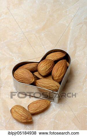 Stock Photo - Almonds in cookie cutter( Prunus dulcis), sweet almond. Fotosearch