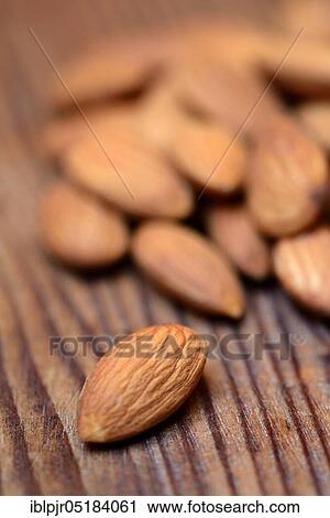 Stock Image - Almonds. Fotosearch