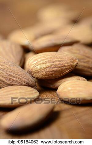 Almonds View Large Photo Image Stock Image - Almonds. Fotosearch