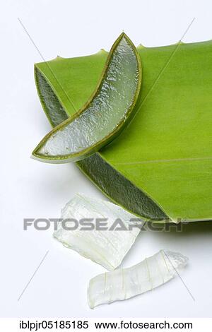 Aloe leaf discs and cut leaf, leaf gel, gel View Large Photo Image Stock Photography - Aloe leaf discs and cut leaf, leaf gel, gel. Fotosearch