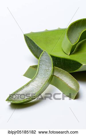 Aloe leaf discs and cut leaf View Large Photo Image Stock Image - Aloe leaf discs and cut leaf. Fotosearch