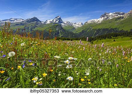 Stock Image - Alp Flix, Graubuenden, Switzerland, Europe. Fotosearch