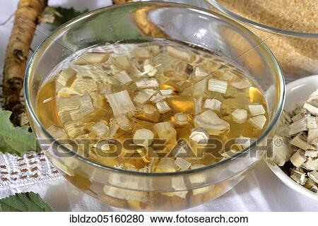 Stock Image - Althaea officinalis (Althaea officinalis officinalis) Production of root syrup. Fotosearch