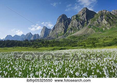 Alvier Group, Alvierkette, St. Gallen, Switzerland, Europe View Large Photo Image Stock Image - Alvier Group, Alvierkette, St. Gallen, Switzerland, Europe. Fotosearch