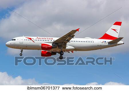 An Austrian Airlines Airbus A320 with registration number OE-LBW at London Heathrow Airport, United Kingdom, Europe View Large Photo Image Stock Photo - An Austrian Airlines Airbus A320 with registration number OE-LBW at London Heathrow Airport, United Kingdom, Europe. Fotosearch