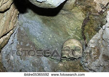 Stock Image - Ancient skulls in the Rock Islands near Malwawa, Triton Bay, West Papua, Indonesia, Asia. Fotosearch