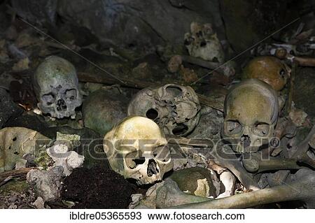Stock Image - Ancient skulls in the Rock Islands near Malwawa, Triton Bay, West Papua, Indonesia, Asia. Fotosearch