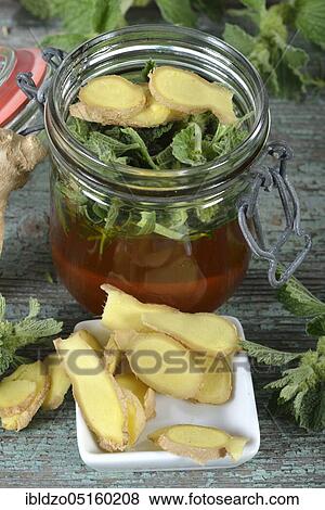 Andorn honey with ginger, Hyssop leaf (Hyssophus officinalis) (Zingiberis rhizome), White Horehound, Common Horehound (Marrubium vulgare), Helperwort, White Dorant View Large Photo Image Stock Photo - Andorn honey with ginger, Hyssop leaf (Hyssophus officinalis) (Zingiberis rhizome), White Horehound, Common Horehound (Marrubium vulgare), Helperwort, White Dorant. Fotosearch