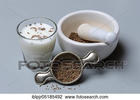 Aniseedmilk in glass and seeds in sieve and mortar View Large Photo Image Stock Image - Aniseedmilk in glass and seeds in sieve and mortar. Fotosearch