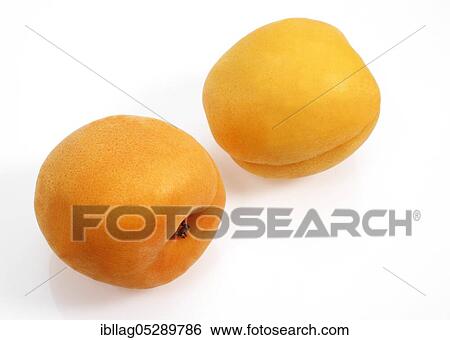 Stock Photograph - Apricots (Prunus armeniaca) against white background. Fotosearch