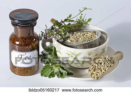 Asthma tea, Horehound, Thyme, Fennel (Foeniculum vulgare) (Marrubium vulgare) (Thymus vulgaris) View Large Photo Image Stock Photo - Asthma tea, Horehound, Thyme, Fennel (Foeniculum vulgare) (Marrubium vulgare) (Thymus vulgaris). Fotosearch