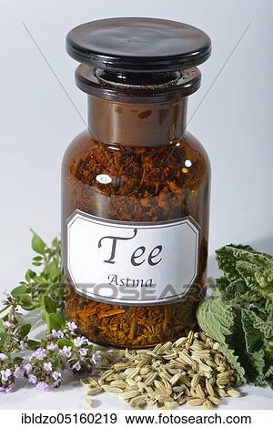 Asthma tea, Horehound, Thyme, Fennel (Foeniculum vulgare) (Marrubium vulgare) (Thymus vulgaris) View Large Photo Image Stock Photo - Asthma tea, Horehound, Thyme, Fennel (Foeniculum vulgare) (Marrubium vulgare) (Thymus vulgaris). Fotosearch