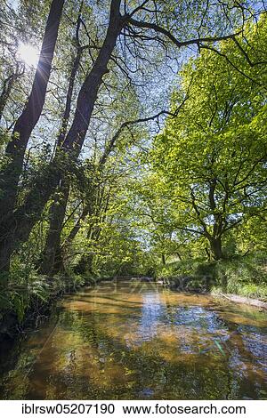 Stock Image - Aue near Visbek, Lower Saxony, Germany, Europe. Fotosearch