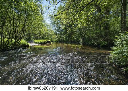 Aue near Visbek, Lower Saxony, Germany, Europe View Large Photo Image Stock Image - Aue near Visbek, Lower Saxony, Germany, Europe. Fotosearch