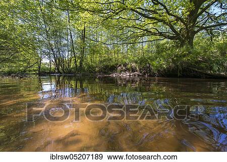Stock Photo - Aue near Visbek, Lower Saxony, Germany, Europe. Fotosearch