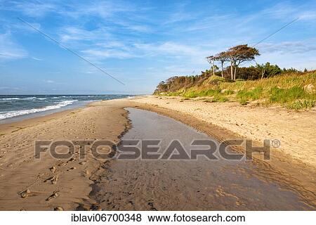 Stock Photo - Autumn at the west beach, peninsula Darß, Fischland-Darß-Zingst, National Park Vorpommersche Boddenlandschaft, Mecklenburg-Vorpommern, Germany, Europe. Fotosearch
