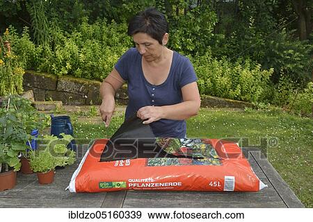 Bag garden soil with herbs plant View Large Photo Image Stock Photo - Bag garden soil with herbs plant. Fotosearch