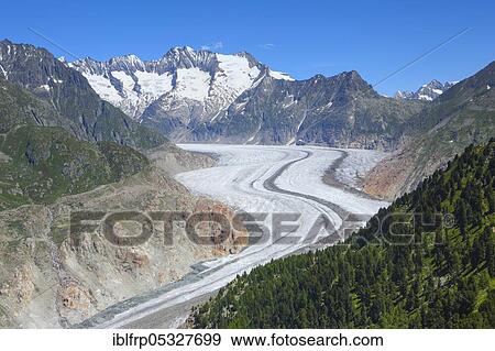 Stock Photo - Bathtub horns and Aletsch Glacier, Valais, Switzerland, Europe. Fotosearch