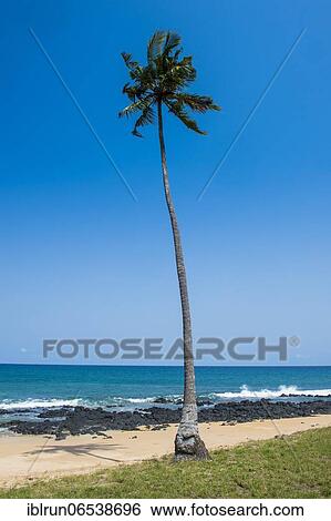 Beach Praia dos Governadores, Sao Tome, Sao Tome and Principe, Atlantic ocean, Africa View Large Photo Image Stock Photograph - Beach Praia dos Governadores, Sao Tome, Sao Tome and Principe, Atlantic ocean, Africa. Fotosearch