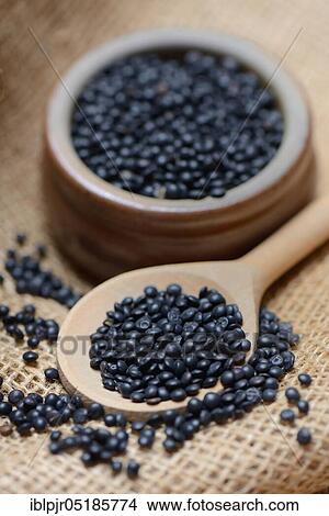 Beluga lentils in cooking spoon View Large Photo Image Picture - Beluga lentils in cooking spoon. Fotosearch