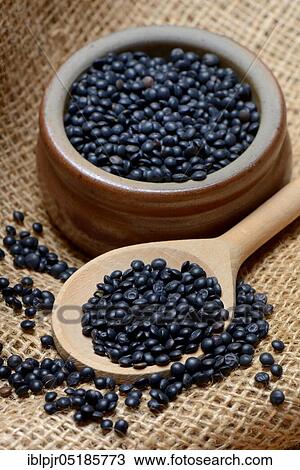Beluga lentils in cooking spoon View Large Photo Image Stock Image - Beluga lentils in cooking spoon. Fotosearch