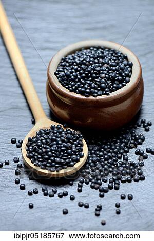 Stock Photo - Beluga lentils in cooking spoon. Fotosearch