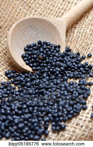 Beluga lentils in cooking spoon View Large Photo Image Stock Photograph - Beluga lentils in cooking spoon. Fotosearch