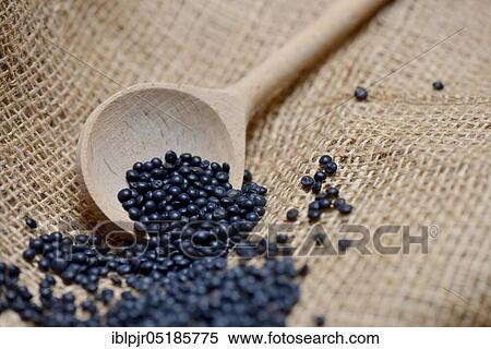 Stock Photography - Beluga lentils in cooking spoon. Fotosearch
