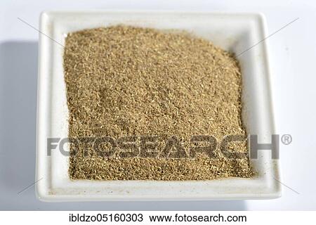 Bertram root (Anacyclus pyrethrum), Hildegard von Bingen, Hildegard medicine View Large Photo Image Stock Image - Bertram root (Anacyclus pyrethrum), Hildegard von Bingen, Hildegard medicine. Fotosearch