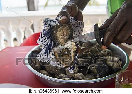 Big plate of Oysters, Quinhamel, Bissau, Guinea Bissau View Large Photo Image Stock Image - Big plate of Oysters, Quinhamel, Bissau, Guinea Bissau. Fotosearch