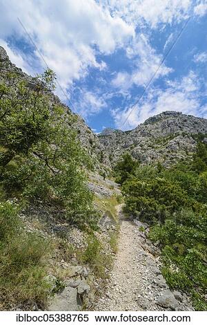 Biokovo National Park, Dalmatia, Croatia, Europe View Large Photo Image Stock Photography - Biokovo National Park, Dalmatia, Croatia, Europe. Fotosearch