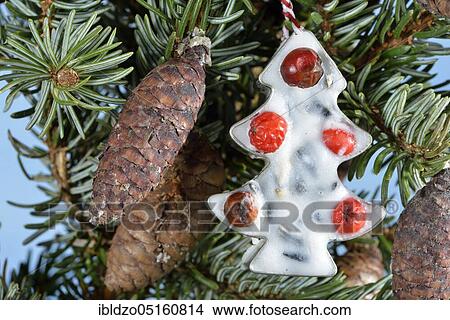 Picture - Bird food with coconut fat, scattered food and rowan berries (Sorbus aucuparia). Fotosearch