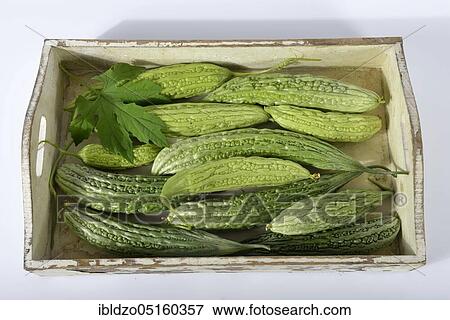 Stock Photo - Bitter melon, bitter cucumber, balsamic pear, bitter spring cucumber (Momordica charantia). Fotosearch