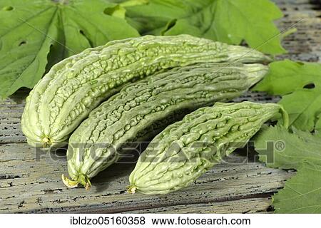 Stock Photo - Bitter melon, bitter cucumber, balsamic pear, bitter spring cucumber (Momordica charantia). Fotosearch